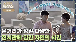 🔎현장탐방🔎 I 🐟해양 생물들의 과거🐋 I 생방송투데이 프리 [upl. by Per]