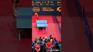 Amazing Kid   Table Tennis [upl. by Elocon3]