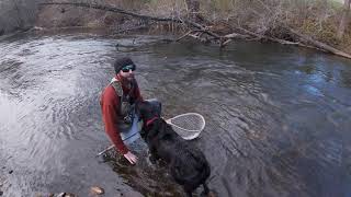 Mokelumne Fishing [upl. by Salvatore112]