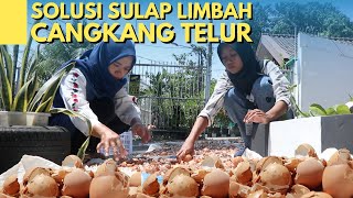 Ide Ramah Lingkungan untuk Pertanian dengan Memanfaatkan Limbah Cangkang Telur  Kartika Maulidia [upl. by Matrona]