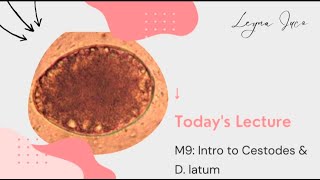 PARASITOLOGYM9 INTRO TO CESTODES amp Diphyllobothrium latum [upl. by Quartas228]