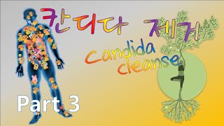 93 칸디다 제거 candida cleanse [upl. by Amliv]