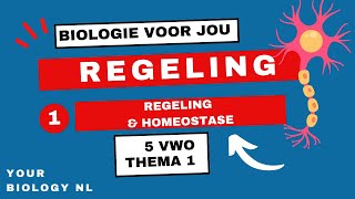 5 vwo  Regeling  1  Regeling amp Homeostase [upl. by Eldwin]