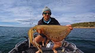 Fishing Western Port Bay for Giant Squid [upl. by Stich]