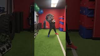 Transverse Plane Lunge With Reach Out [upl. by Timms]