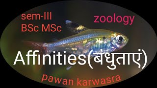 Affinities of hemichordata amp echinodermata cephalochordata and chordata । BSc I MSc । [upl. by Anelliw]