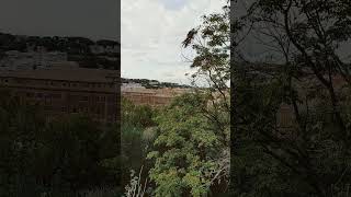 Orange garden in aventine  panorama view [upl. by Anahcra]