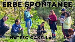 Alla Scoperta delle Erbe Spontanee 🌿 con Matteo Casella [upl. by Klemens566]