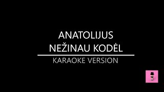 Anatolijus  Nežinau Kodėl Karaoke version [upl. by Etna69]