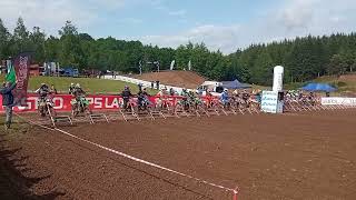 Kremix Kresevo Motocross Gajice 2023 Mx1 Mx2 start [upl. by Bowra]