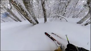 Tree Skiing Run 2 at Catedral in Bariloche Argentina on July 25 2023 [upl. by Maccarthy]