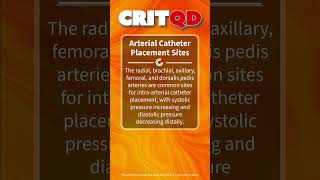 Arterial Catheter Placement Sites [upl. by Llydnek]