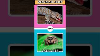 tebaktebakan hewan shorts edukasihewan quiz animals shortviral siapakahaku tebaktebakanhewan [upl. by Airdnua396]