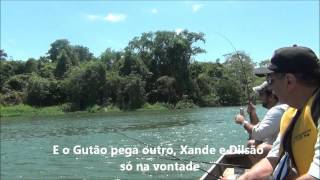 Pesca Mandi Guaçu II  Rio Pardo  Doutores da Pesca [upl. by Bartolemo384]