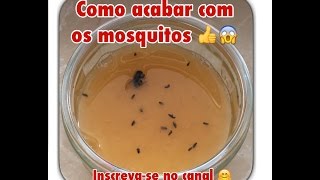 Diy Como acabar com os mosquitos  Simple e Fácil [upl. by Gittle]