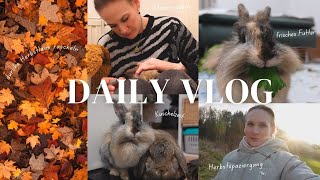 VLOG Herbstspaziergang im Winter pflücken Medizin geben Kuschelzeit [upl. by Abihsot]