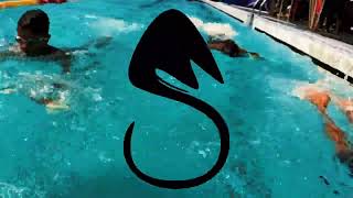 Stingrays Swim School 🏊‍♂️ Riding the Swell of the Fastest Growing Swim Revolution [upl. by Erbas857]