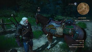 The Witcher 3 Wild Hunt [upl. by Wenoa]