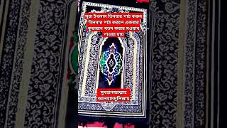 সূরা ইখলাস Surah Ikhlas surahiklas shortvideo surah reels ইখলাস কোরআনতেলাওয়াত [upl. by Hafital959]