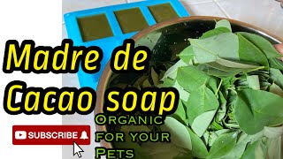 Madre de Cacao SoapUsing fresh Madre de cacao leaves Organic [upl. by Siurad]