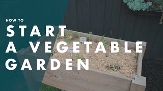 How To Start A Vegetable Garden  Bunnings Warehouse [upl. by Junko404]