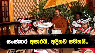 සංසාරය නැමැති දඬු කඳේ ගහපු මිනිසුන්  VenKirulapana Dhammawijaya Thero [upl. by Oleta]