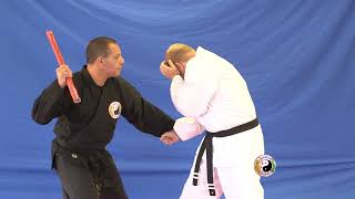 Kempo Karate  Yellow Belt Techniques [upl. by Urba]