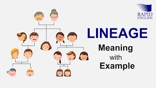 Lineage Meaning with Example  Rapid English [upl. by Aicital]