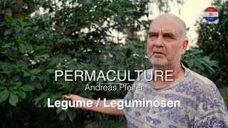 Permacultura  Andreas Pfeifer «Legumbres » [upl. by Ier]