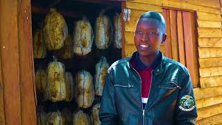 ECOSOLUTIONS  MUSHROOM FARMING IN ZIMBABWE [upl. by Ecidnac]