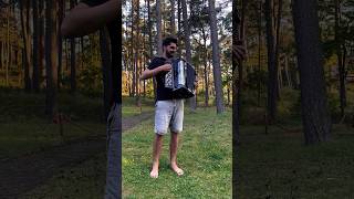 Jolka Jolka  Budka Suflera accordion akordeon music accordionmusic cover accordeon [upl. by Hillier674]