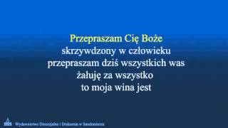 Przepraszam Cię Boże  wersja karaoke [upl. by Meuser]