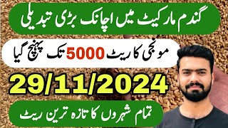 Wheat Price Today  Munji Rate Today  Galla Mandi Rates  Zaraat زراعت [upl. by Bee]