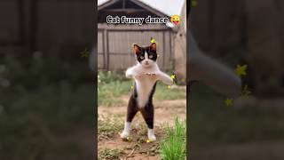 Cat dance 😜🔥😍👌dance cat dancer funny trending youtubeshorts viralvideo viralshorts shorts [upl. by Myrle]