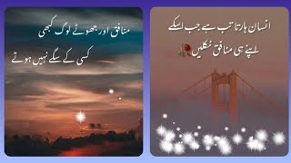 Heart Touching ❣️ And Heart Broken 💔 Quotes About Munafiq  Quotes In Urdu  Hindi For Status Dpzz [upl. by Ynaoj]