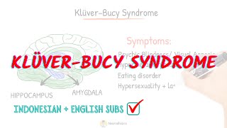 Kluver Bucy Syndrome detail explanation  Neuroaholics [upl. by Aile848]