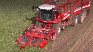 Grimme REXOR 630 Zuckerrübenroder  LandtechnikTV [upl. by Sawyor61]