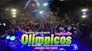 18 CASTILLO OLIMPICOS DE HYO CAMPOY 04 12 16 [upl. by Myles]