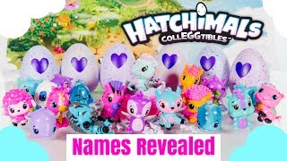 Hatchimals CollEGGtibles Names Revealed  How to find Limited Editions Surprise Box from Spinmaster [upl. by Keyser]