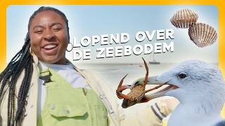 DIT ligt op de BODEM van de WADDENZEE  Maar Natuurlijk [upl. by Giorgi153]