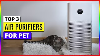 Best Air Purifiers For Pets in 2024 [upl. by Arnoldo]