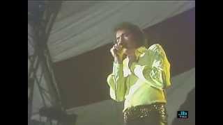 Neil Diamond  The Last Picasso The Thank You Australia Concert Live 1976 [upl. by Deerc]