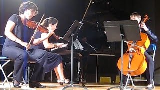 Rondo à la hongroise  Haydn  Trio Dautremer [upl. by Aitetel]