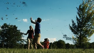 Black Fly Season in Upstate New York feels like a horror movie [upl. by Lhary]