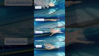 Underwater transitions for 4 swimming strokes [upl. by Yslek134]