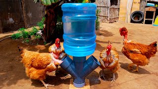 Bebedero automático de 20 Litros para criar pollos y gallinas  Hágalo y sus aves se lo agradecerán [upl. by Jaban]