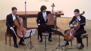 Haydn Divertimento D Major on 3 Celli live in concert [upl. by Lona]