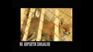 Kopshti zoologjik Tirane Nga ILIR ÇUÇI [upl. by Strander]