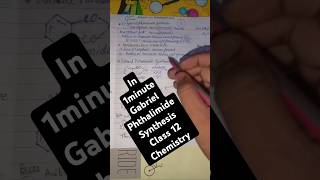 🔥Gabriel phthalimide synthesis amines class 12 chemistry class 12th chemistry GPS Method [upl. by Reyam]