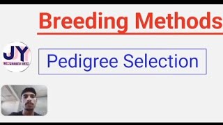 Pedigree Selection Breeding Methods in Plant Breeding ByJagdeesh [upl. by Hyozo]